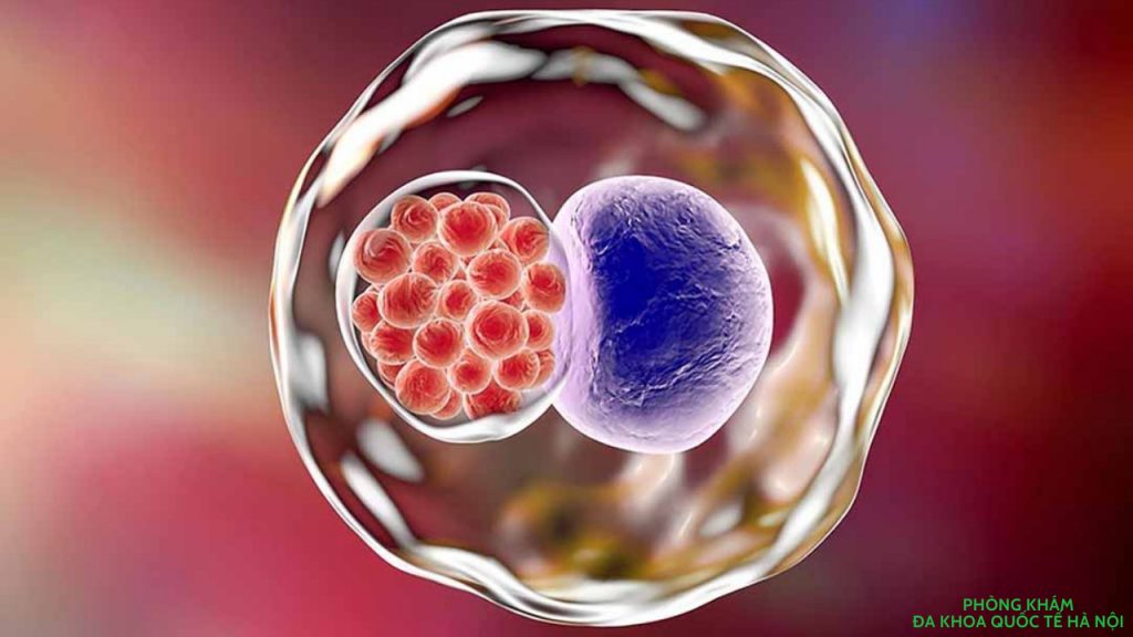 Bệnh chlamydia là gì