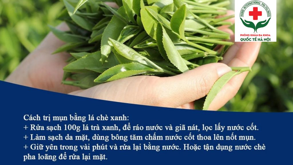 uống nước lá chè xanh có tác dụng gì. Công dụng của lá chè xanh mang lại cho cơ thể