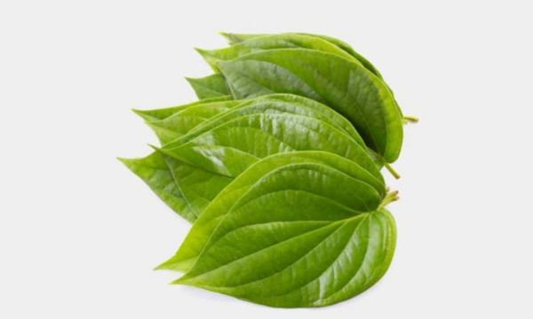 chữa viêm phụ khoa bằng lá trầu