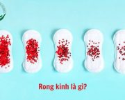rong-kinh